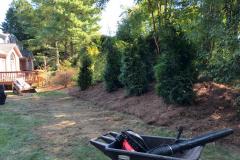 Fields-Landscaping-Co-Greensboro-NC-Landscaping-Projects-16