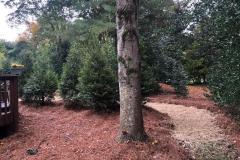 Fields-Landscaping-Co-Greensboro-NC-Landscaping-Projects-17