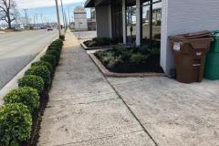 Fields-Landscaping-Co-Greensboro-NC-Landscaping-Projects-30