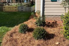 Fields-Landscaping-Co-Greensboro-NC-Landscaping-Projects-36