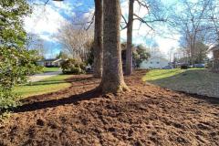 Fields-Landscaping-Co-Greensboro-NC-Landscaping-Projects-38