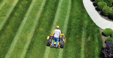 Lawn Care and Maintenance Fields Landscaping