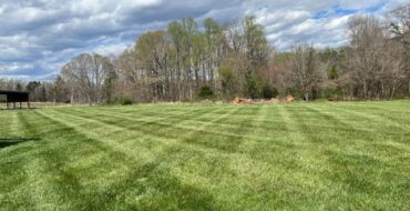 Lawn Care and Maintenance in Greensboro NC