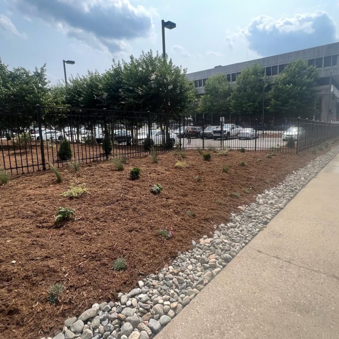 Mulched garden bed beside fenced parking lot