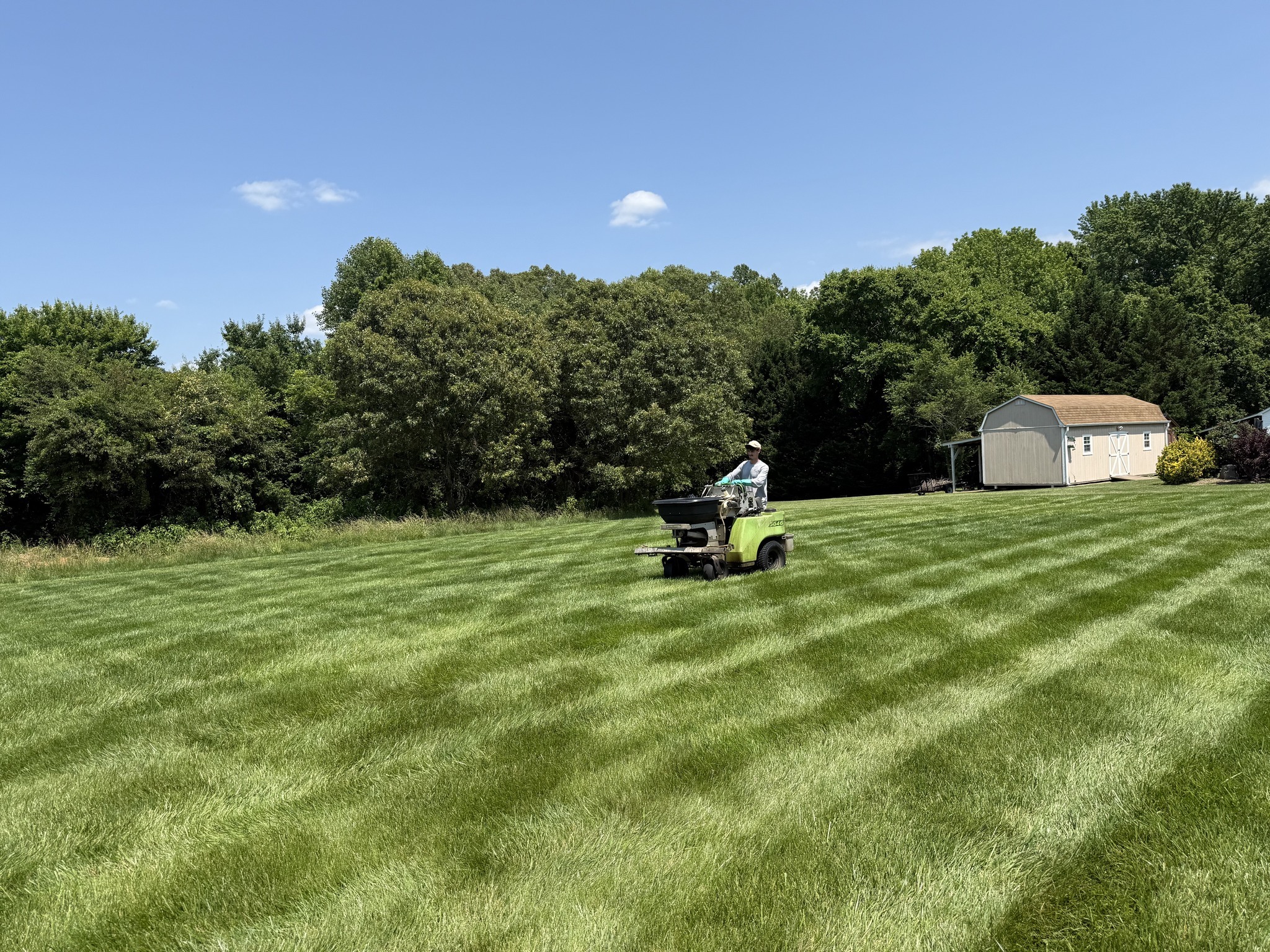 Worker mowing striped green lawn beside shed
