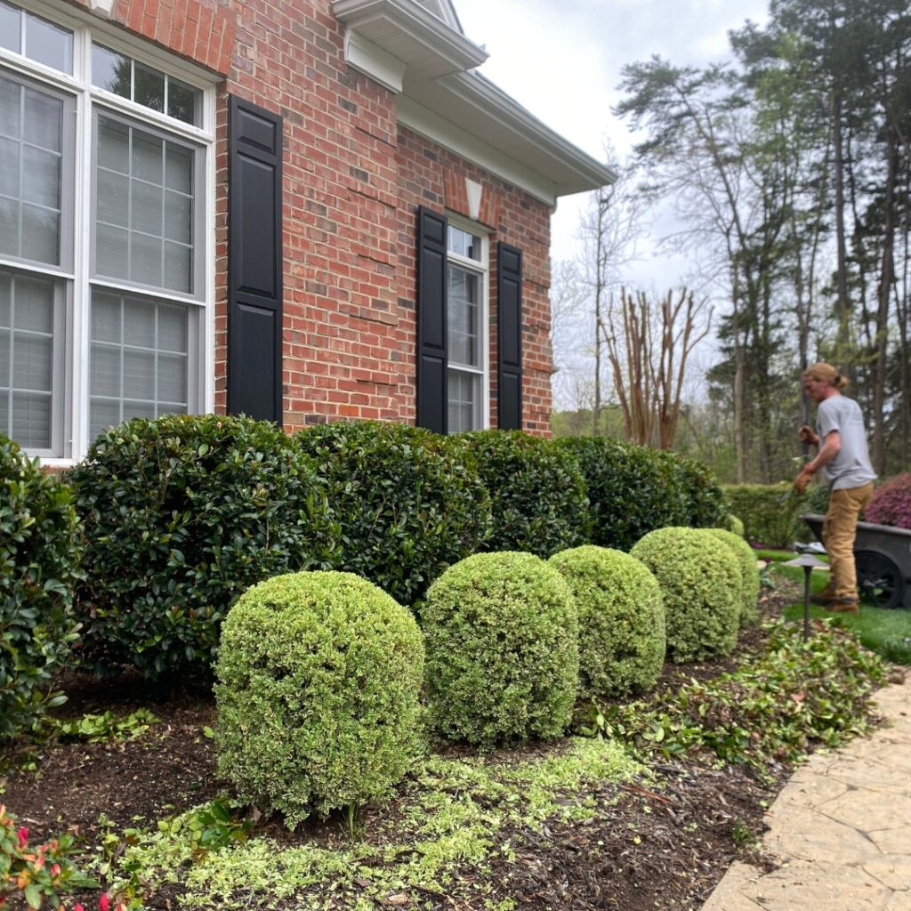 Landscaper trimming shrubs beside a brick house