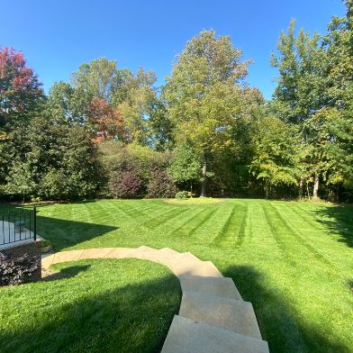 Manicured backyard lawn with trees under clear blue sky