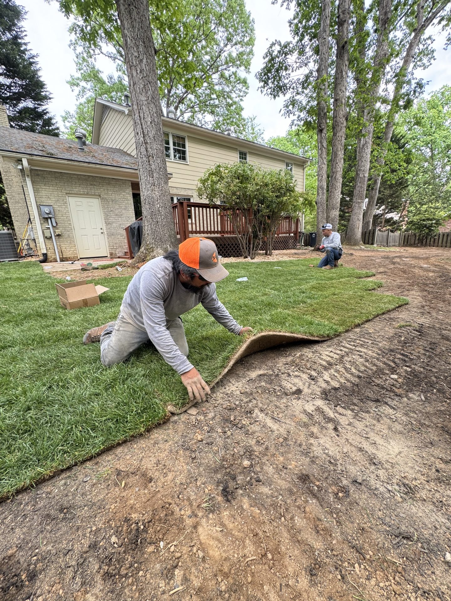 Landscapers installing sod beside a suburban house