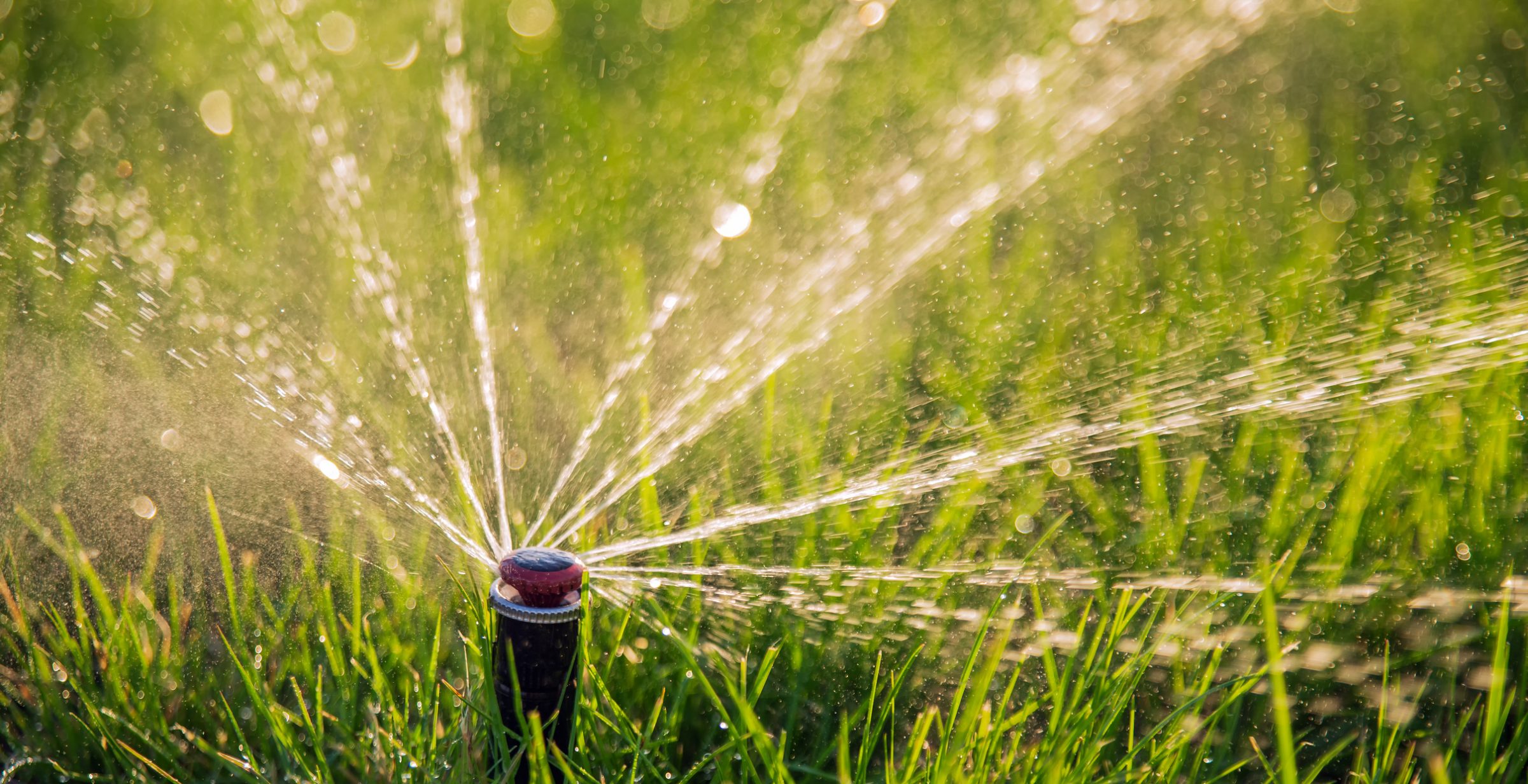Garden sprinkler spraying water across green grass