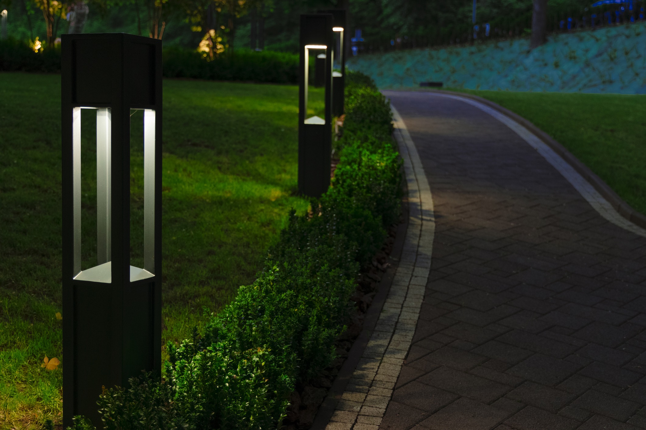 Modern pathway lights illuminate a curving garden walkway at night