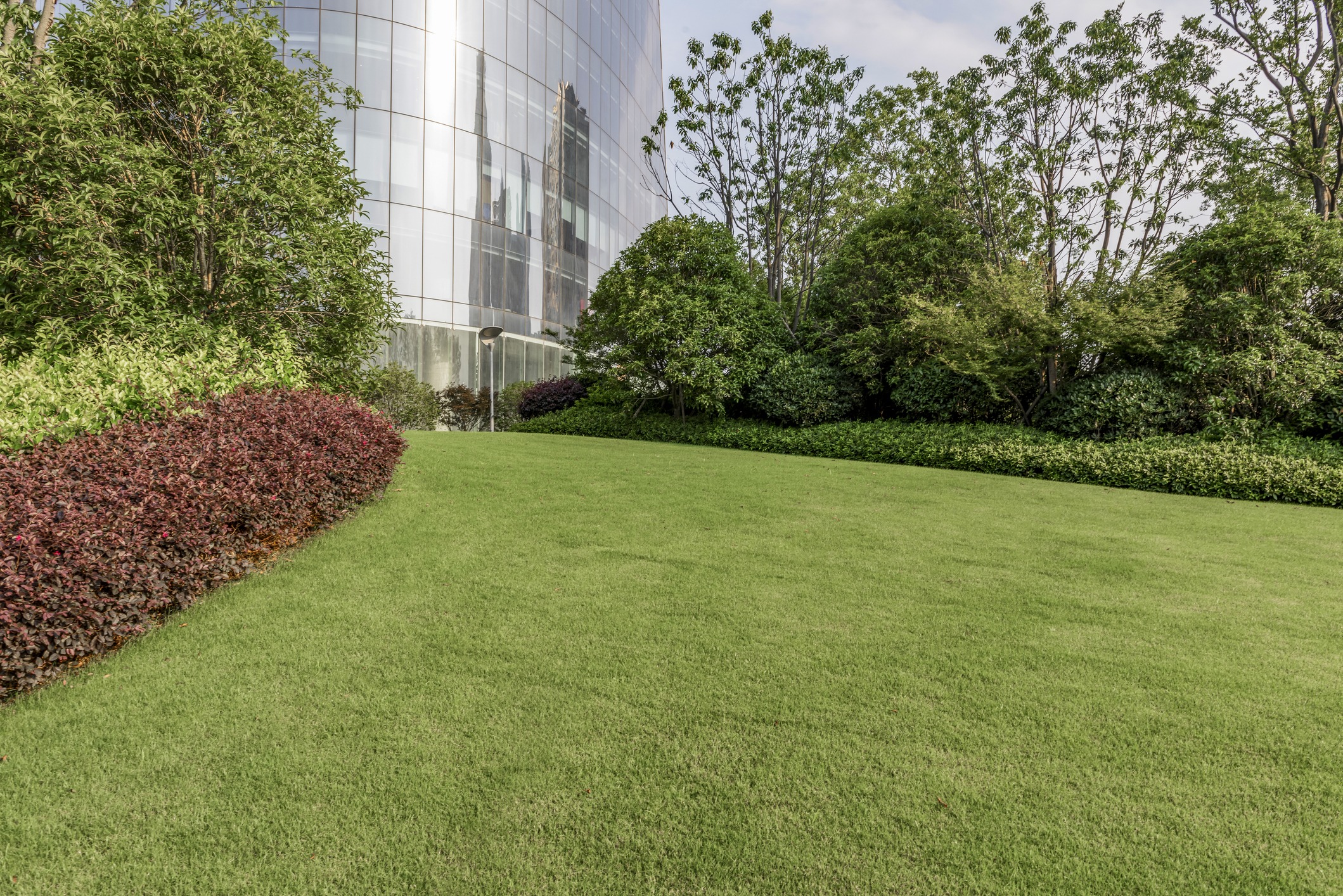 Manicured lawn and trees beside a glass office building