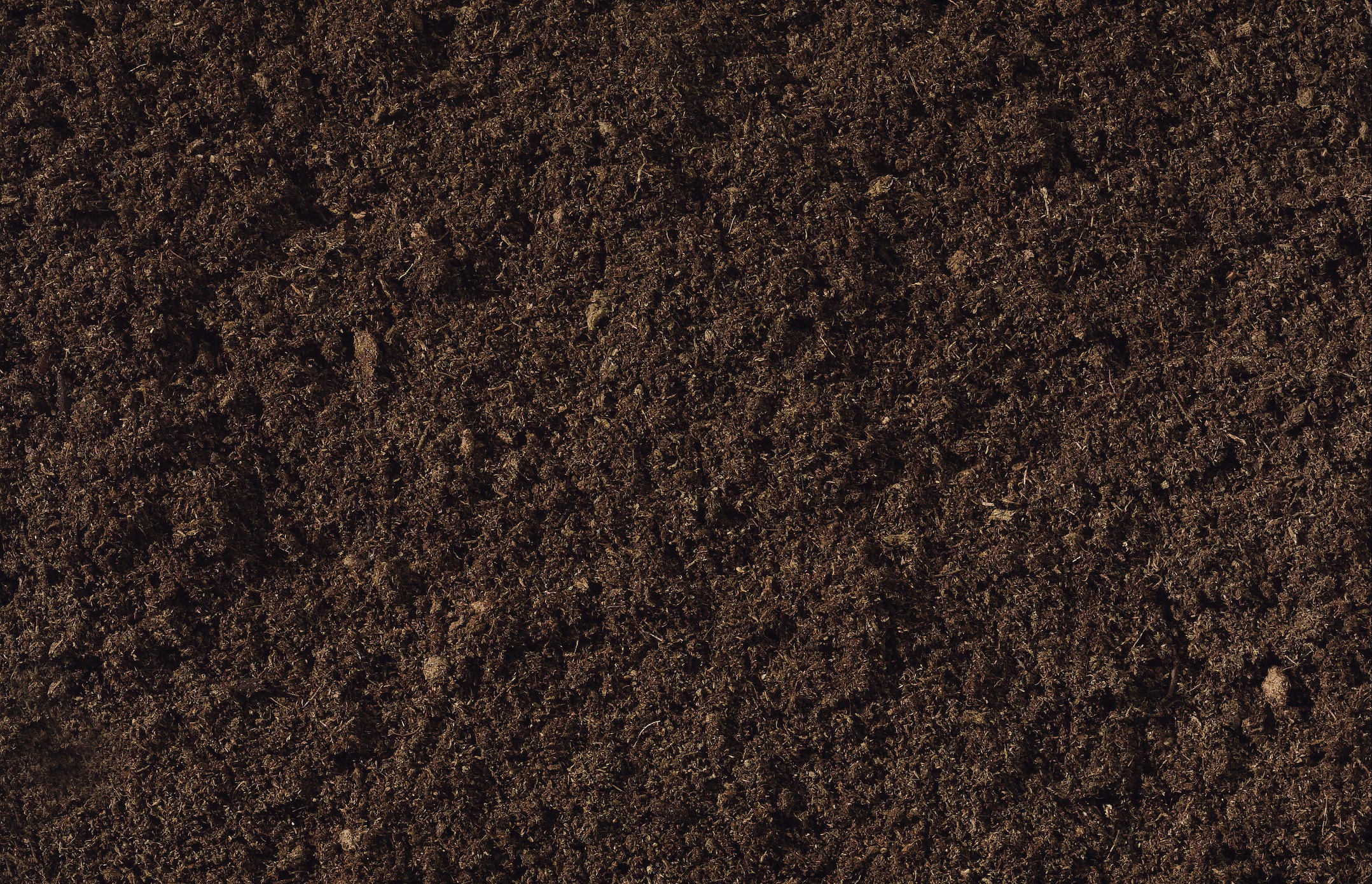 Close-up texture of dark, rich potting soil