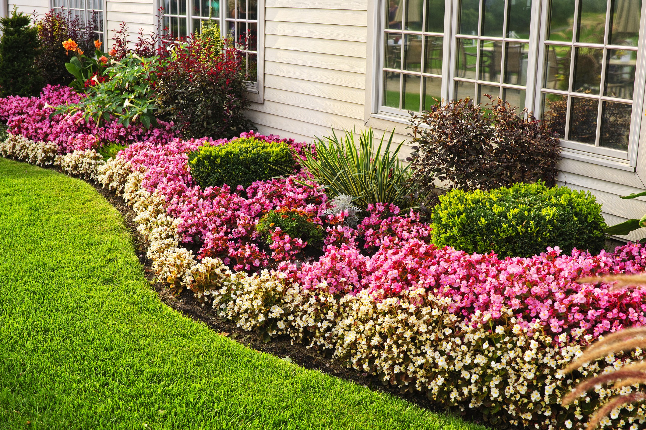 Colorful flower bed beside house windows and green lawn