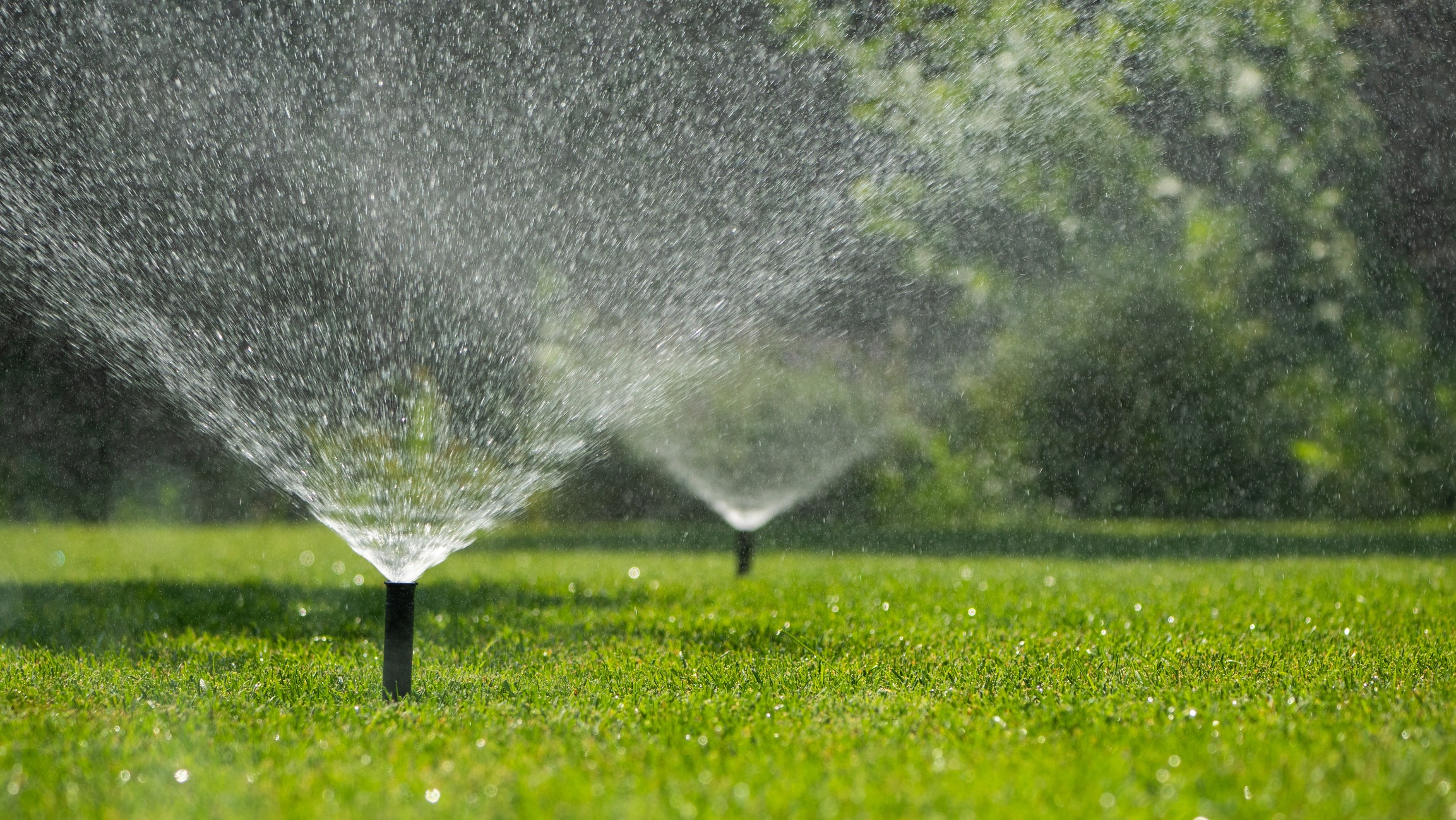 Lawn sprinklers spraying water across green grass