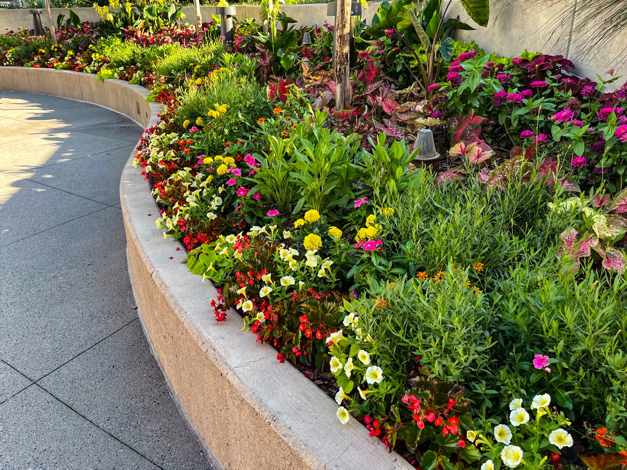 Curved walkway beside a vibrant flower garden