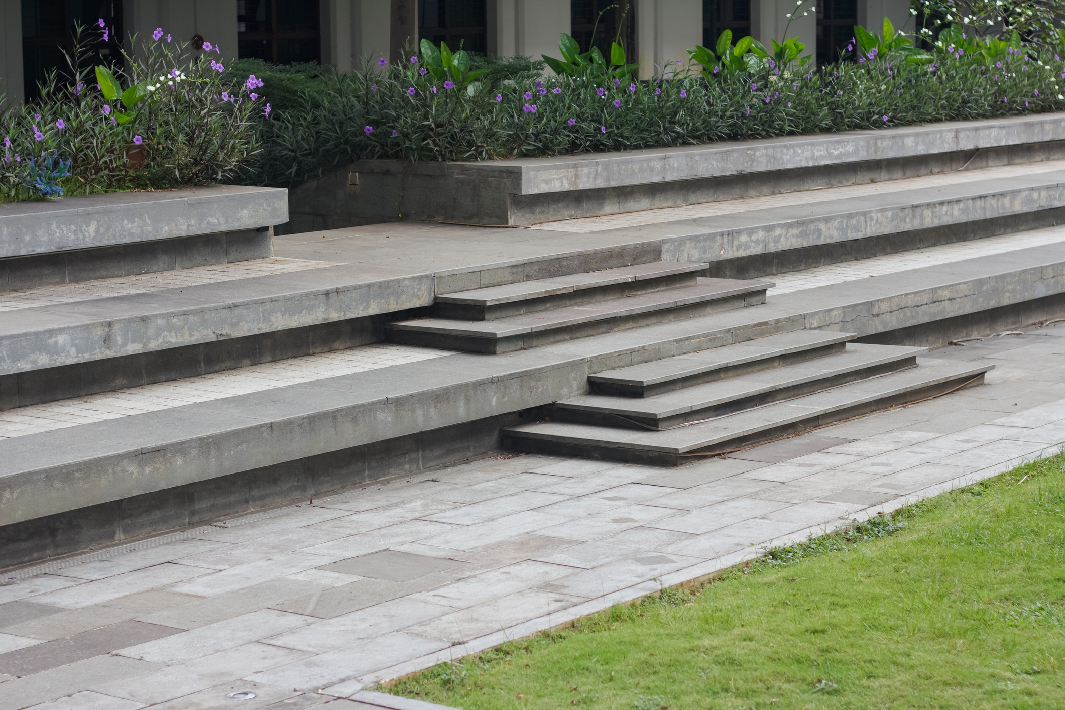 Tiered concrete steps beside purple flowering garden beds