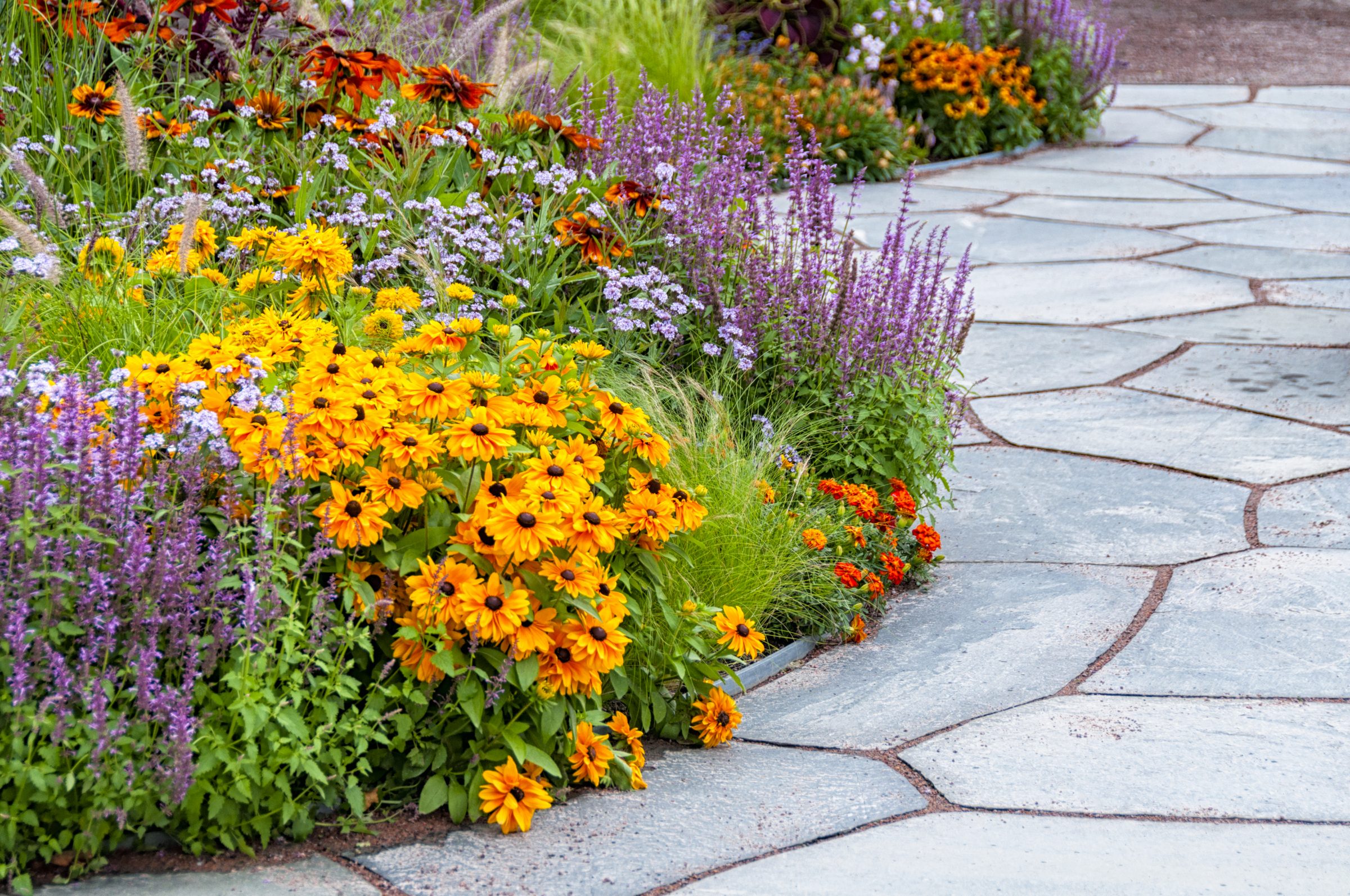 Colorful flower border beside curving stone garden path