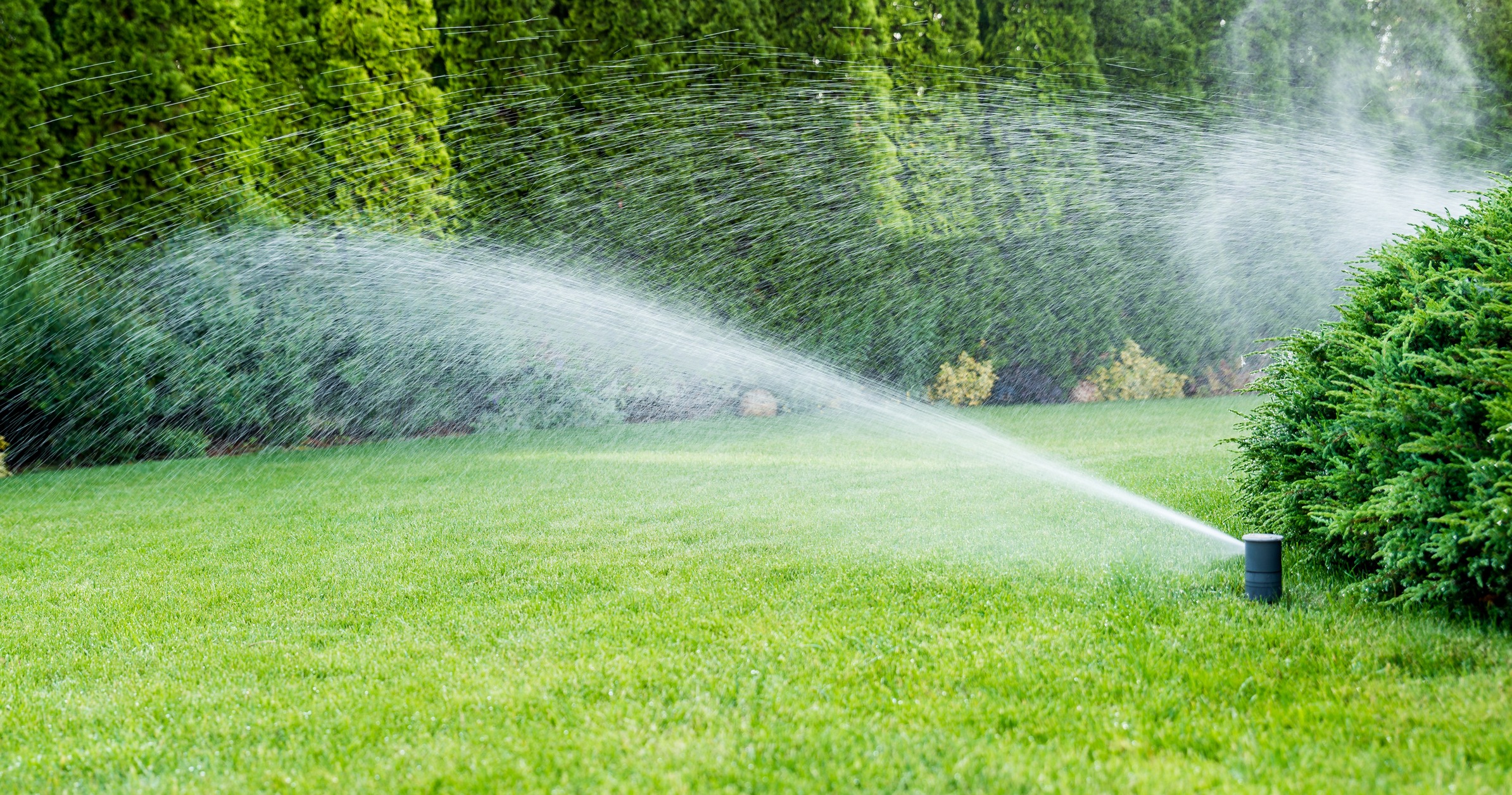 Garden sprinkler watering a lush green lawn