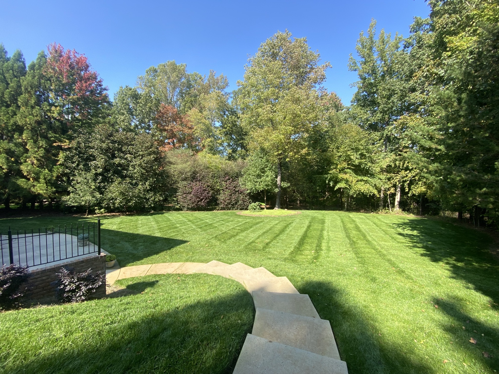 Manicured backyard lawn bordered by trees under blue sky