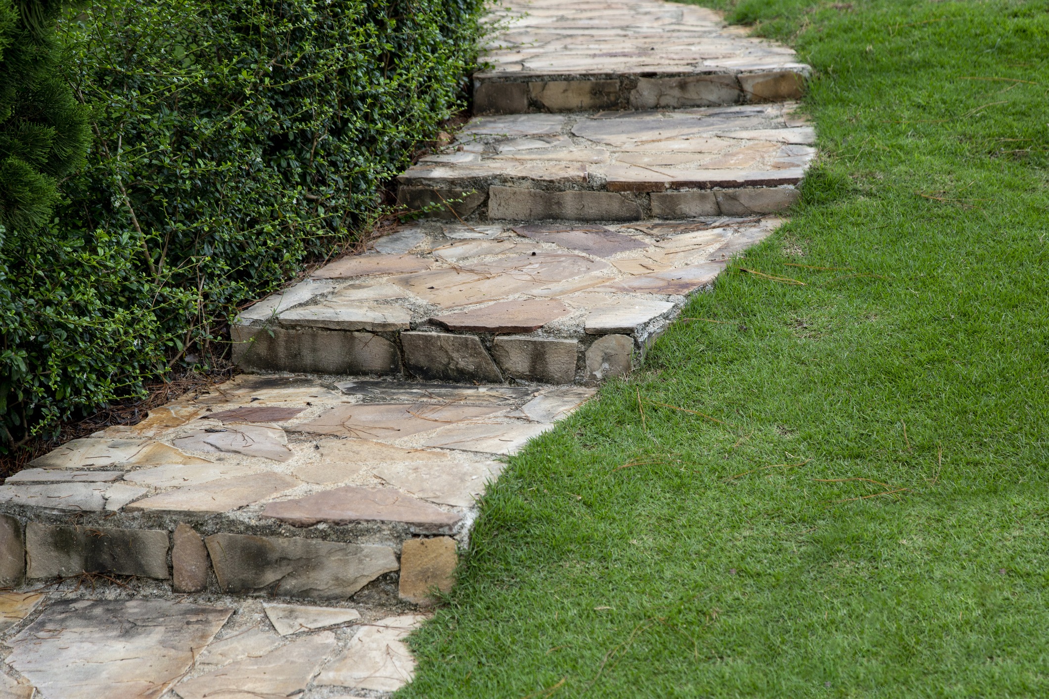 Stone garden steps beside hedges and green lawn