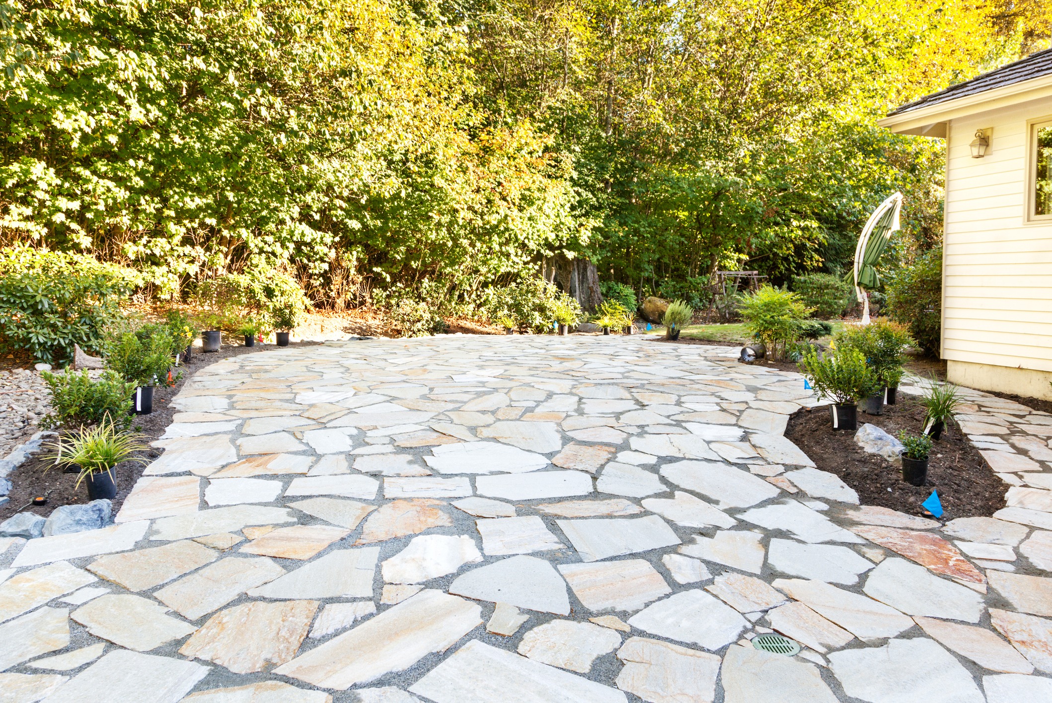 Flagstone patio beside house surrounded by leafy garden