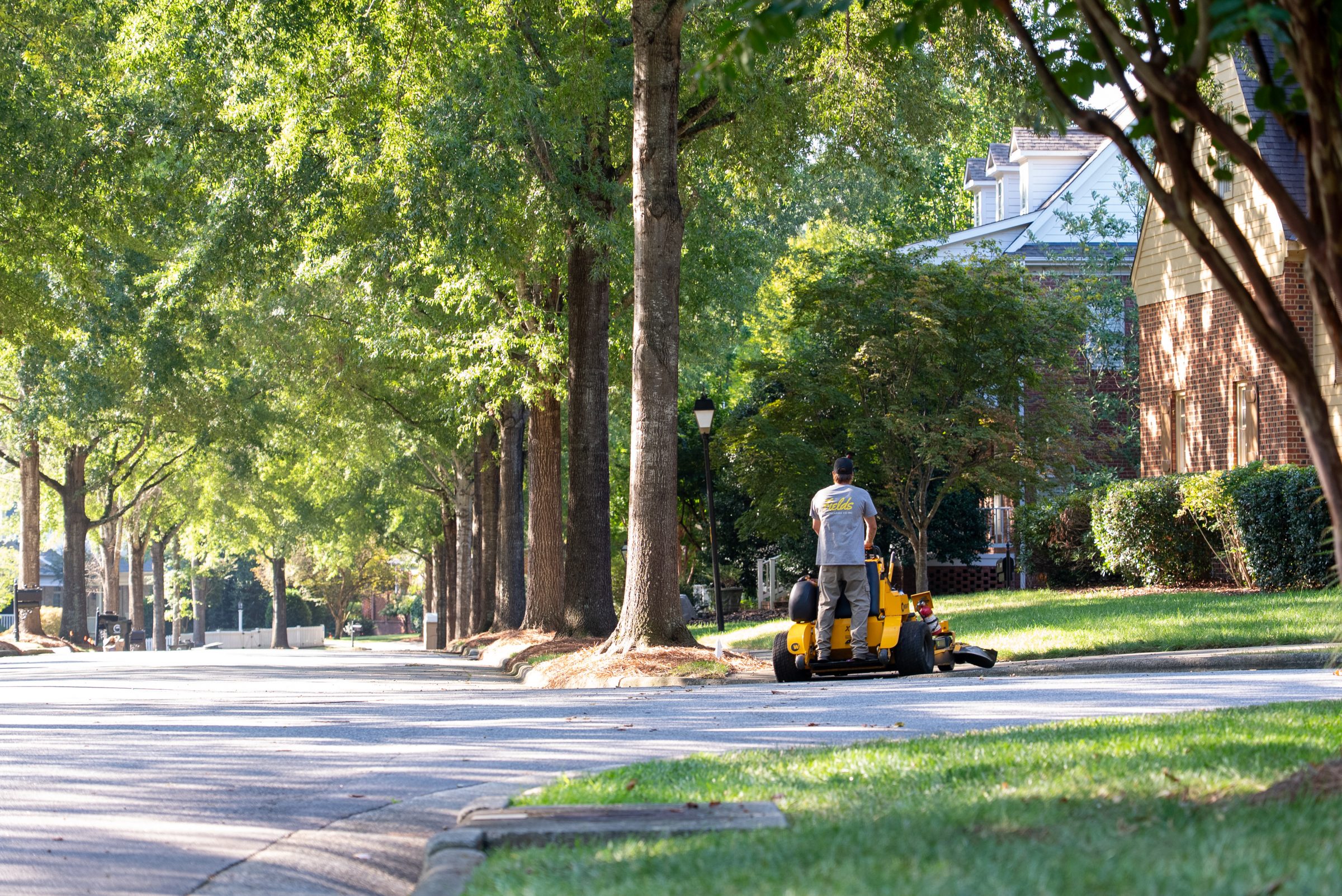 Landscaper mowing lawn on a tree-lined residential street